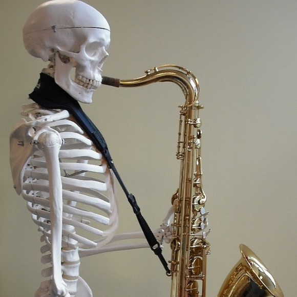 Meet your Posher, Braydon - Picture 1 of 1